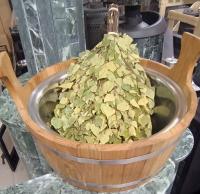 Веник БЕРЕЗА